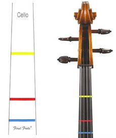 First Fret Cello 3/4