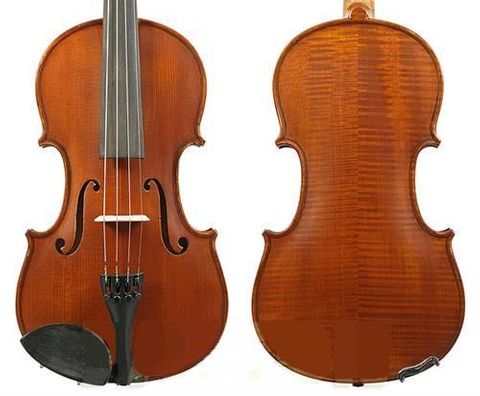 Gliga I 4/4 VIOLIN Outfit