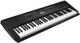 Artesia MA88BK 61 note Keyboard