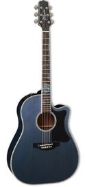 Takamine Limited Edition 2021 Ac/El Gtr