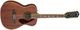Fender Tim Armstrong Hellcat 12 String