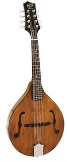 Mandolins