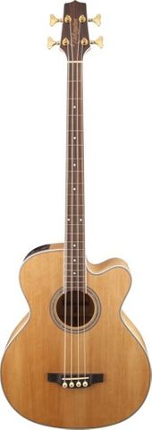 Takamine TGB72CENAT NAT Ac/El Bass Gtar