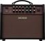 Boss ACSLIVE LT Acoustic Singer Amp