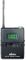 Mipro ACT32T Bodypack Transmitter