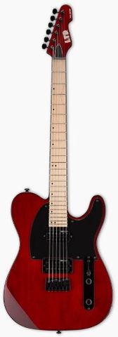 ESP TE200 Black Cherry Electric Guitar