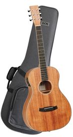 Tanglewood TWUPE w  Case Union Ac/El