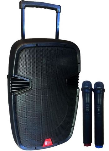 Leem 12in Portable PA w 2 Wireless Mics