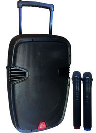 Leem 12in Portable PA w 2 Wireless Mics