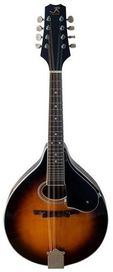 JR Sunburst Mandolin A-Style