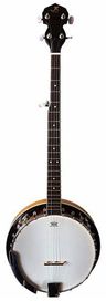 JR JBJ245 5 String Banjo