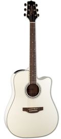 Takamine GD37CEPW Dreadnought Guitar