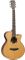 Tanglewood 20th Ann T20SFCE Ac/El Guitar