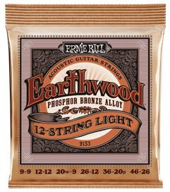 Ernie Ball Earthwood PB 12 String Lite