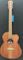 Cole Clark Studio CCSAN1EC RDSO Guitar