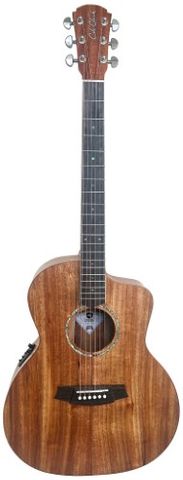 Cole Clark Studio CCSAN1EC BLBL Guitar