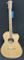 Cole Clark Studio CCSAN1EC BSO Guitar