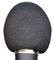 AMS Black Windshield
