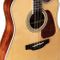 Takamine D90CEMDNAT Ac/El Guitar