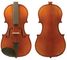 Enrico 1/4 Student Plus II VIOLIN Outfit