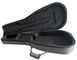 DCM PFCGY Classical Light Guitar Case