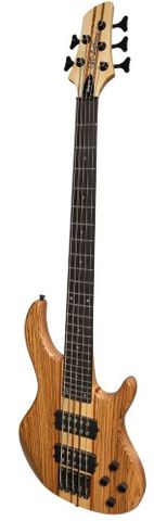 J&D CTN3/5NST Legacy 5String Bass Guitar