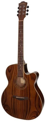 Sanchez SFC18RWD Folk Ac/El Guitar