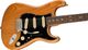 Fender Roasted Pine AM Pro II Strat