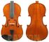 Gliga I Antique Violin Outfit - 4/4
