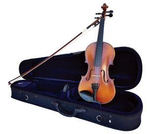 Vivo 15.5in Encore Student VIOLA Outfit