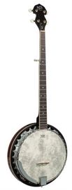 Barnes & Mullins BJ300 Perect 5Str Banjo