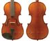 Enrico 4/4 Student Plus II VIOLIN Outfit