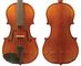 Enrico 3/4 Student Plus II VIOLIN Outfit