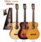 Valencia 434CSB Acoustic Guitar