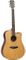 Tanglewood T25DCE Dnought Ltd Ed Guitar