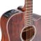 Takamine G21 Satin Molasses Ac/El Guitar