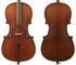 Enrico 1/2 Student Plus 2 CELLO Outfit