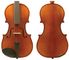 Enrico 1/8 Student Plus II Violin Outfit