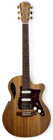 Cole Clark TL2EC All BW HSS Ac/El Guitar