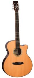 Tanglewood TRS4CE Rwood Ac/El Guitar