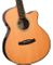 Tanglewood TRS4CE Rwood Ac/El Guitar