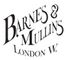 Barnes & Mullins BJ304GT 4 String Banjo