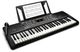 Alesis Harmony 54 Portable Keyboard