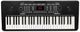 Alesis Harmony 54 Portable Keyboard