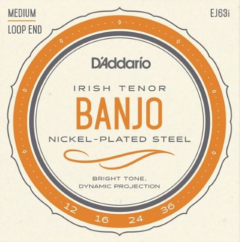 D'Addario EJ63I Tenor Banjo Irish String