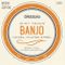 D'Addario EJ63I Tenor Banjo Irish String