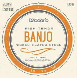 D'Addario EJ63I Tenor Banjo Irish String