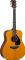 Yamaha FGX03 Ac/El Guitar