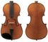 Enrico 1/16 Student Plus II VIOLIN