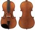 Enrico 1/10 Student Plus II VIOLIN